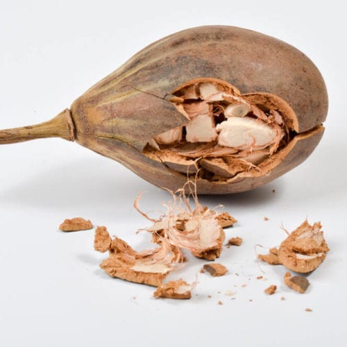 Baobab Oil